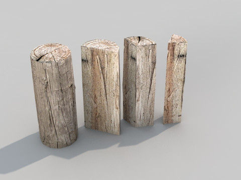 Firewood Nature 3D Model