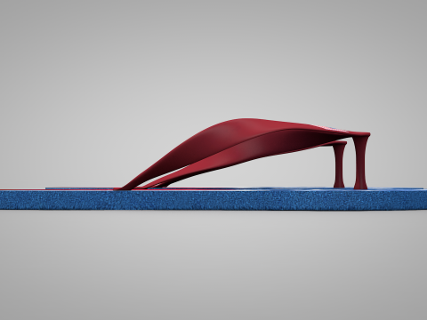 Slippers USA Modelo 3D
