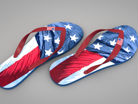 Slippers USA Modelo 3D