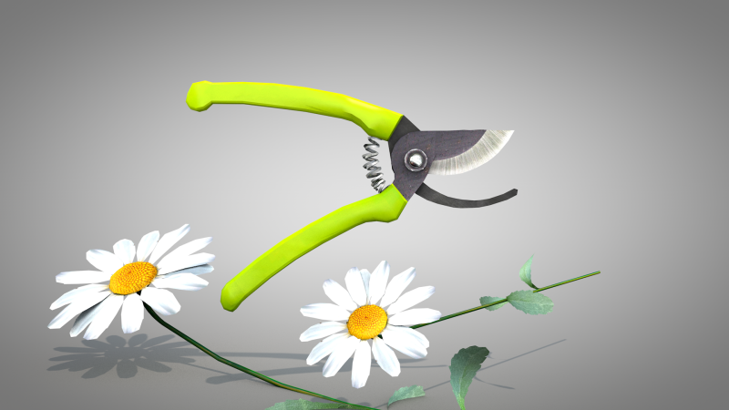 Garden Pliers Modello 3D .c4d .max .obj .3ds .fbx .stl .blend