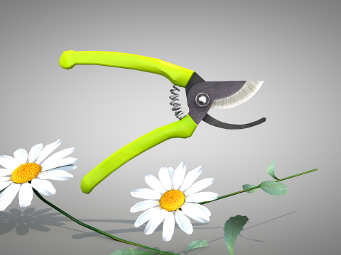 Garden Pliers 3D 模型
