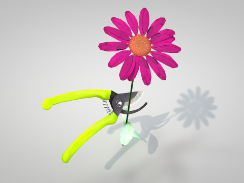Garden Pliers Modello 3D