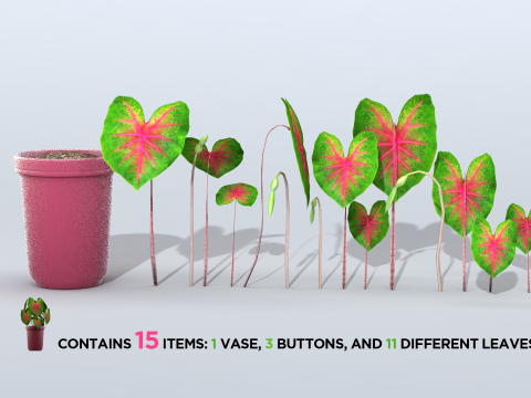 植物双色花叶芋 3D 模型