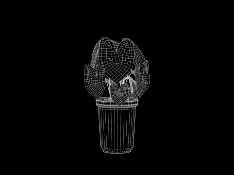 Roślina Caladium Bicolor Model 3D