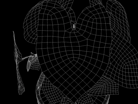 Roślina Caladium Bicolor Model 3D