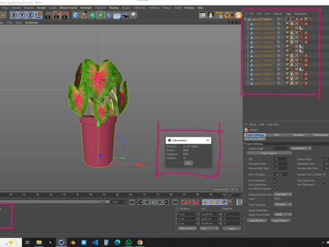 Roślina Caladium Bicolor Model 3D