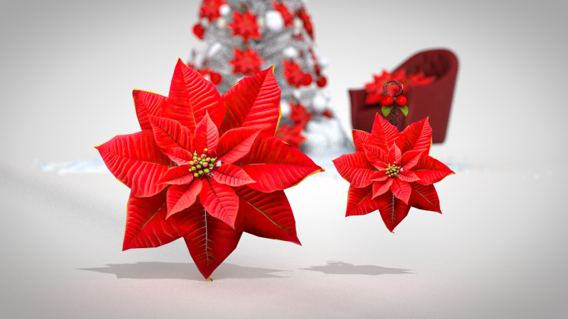 Christmas Red Flowers Pouf and Pillow 3D Model .c4d .max .obj .3ds .fbx .stl .blend