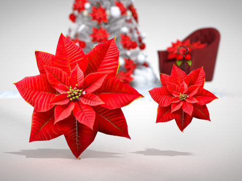 Christmas Red Flowers Pouf and Pillow 3D Model