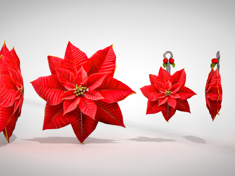 Christmas Red Flowers Pouf and Pillow 3D Model
