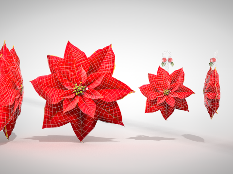 Christmas Red Flowers Pouf and Pillow 3D Model