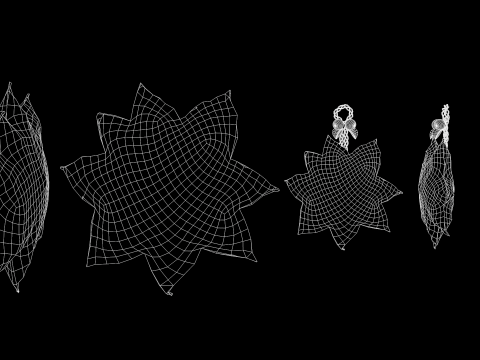 Christmas Red Flowers Pouf and Pillow 3D Model