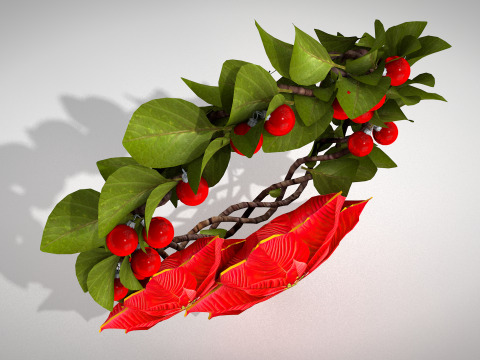 圣诞花环 - 红色花朵 3D 模型