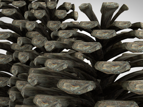 圣诞松果 3D 模型