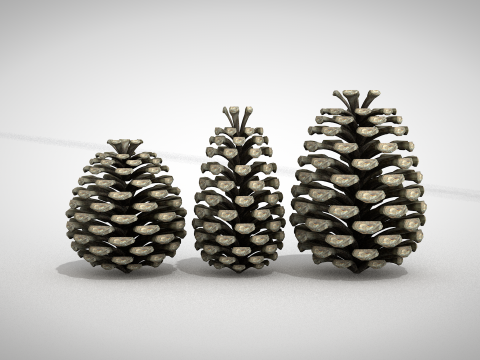 圣诞松果 3D 模型