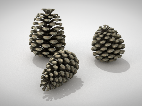 圣诞松果 3D 模型