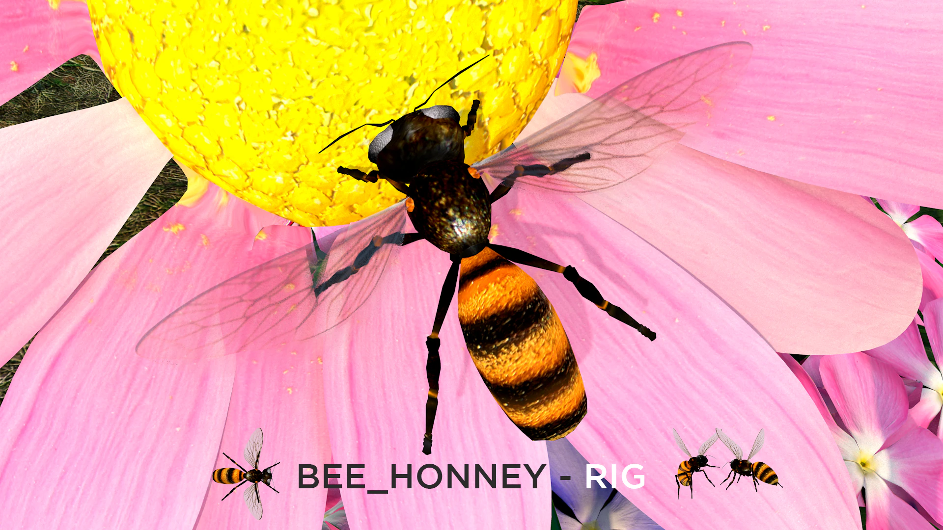 Bee Honey Movie 3D Model .c4d .max .obj .3ds .fbx .stl .blend