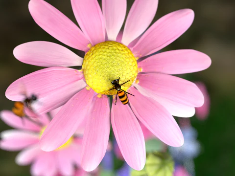 Bee Honey Movie 3D Model