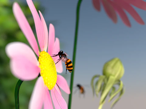 Bee Honey Movie 3D Model