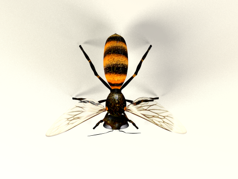 蜜蜂蜂蜜电影 3D 模型