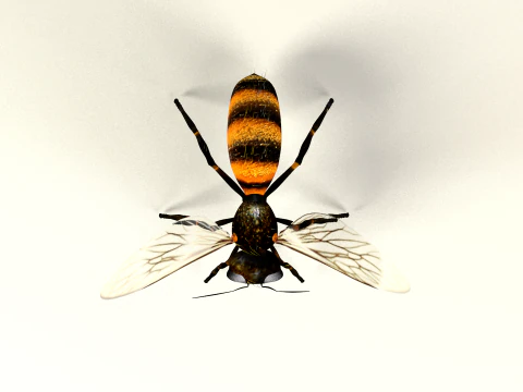 Bee Honey Movie 3D Model