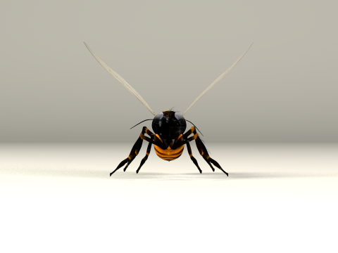 蜜蜂蜂蜜电影 3D 模型