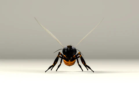Bee Honey Movie 3D Model