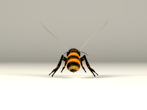 蜜蜂蜂蜜电影 3D 模型