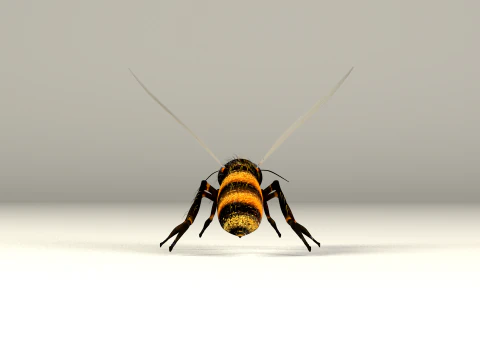 Bee Honey Movie 3D Model