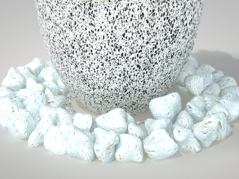 Plant Croton Petra 3D Model