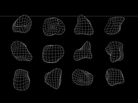 Plant Croton Petra 3D Model