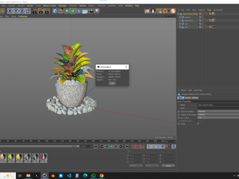 Plant Croton Petra 3D Model