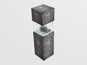aquarium in the style of minimalism low-poly 3D Model