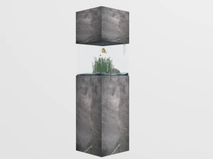 aquarium in the style of minimalism low-poly 3D Model