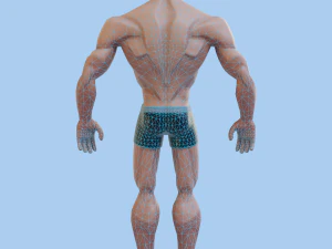 Homem forte estilizado Modelo 3D