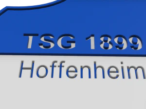 TSG Hoffenheim Wall Emblem 3D Print Model