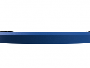 Brighton Hove Albion Wall Emblem 3D Print Model
