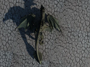 best dragon animations 3D Model