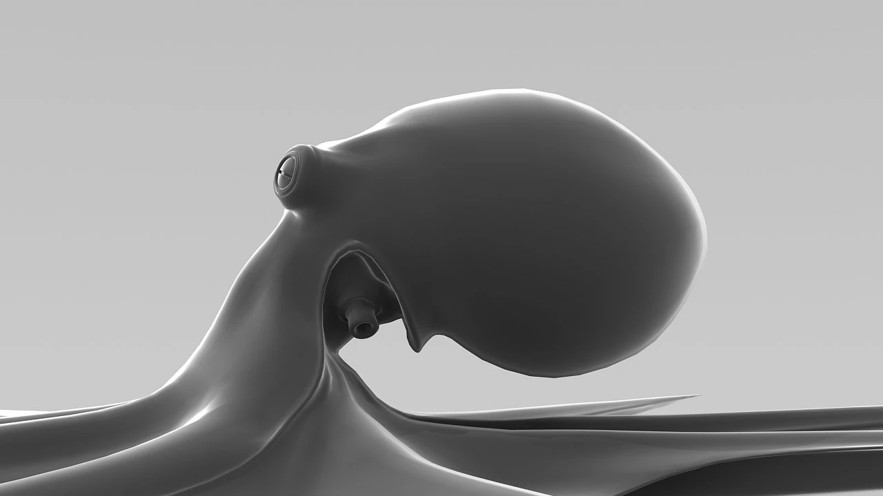 octopus 3D Model .c4d .max .obj .3ds .fbx .stl .blend