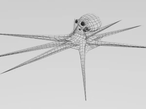 octopus 3D Model