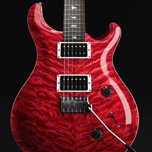 Gitar sales prs custom