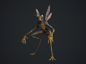 Insect Creature Model 3D