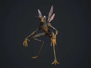 Insect Creature 3D Model