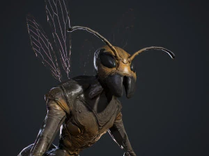 Insect Creature 3D Model