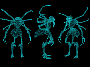 Spider Creature Model 3D