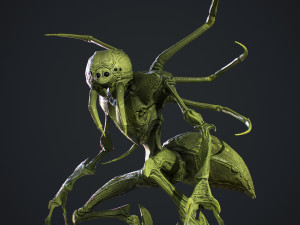 Spider Creature Model 3D