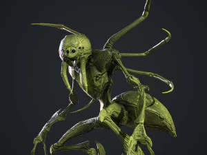 Cr&eacute;ature araign&eacute;e Modèle 3D