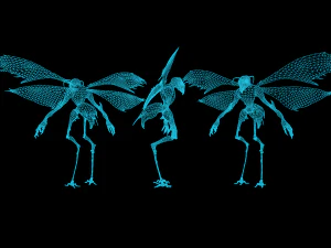 Insect Creature 3 3D Model