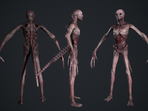 Monster 14 3D Model