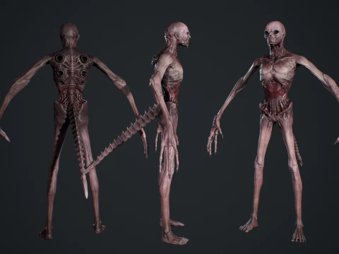 Monster 14 3D Model