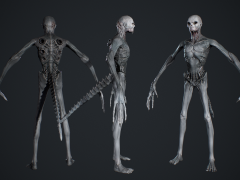 Monster 14 3D Model